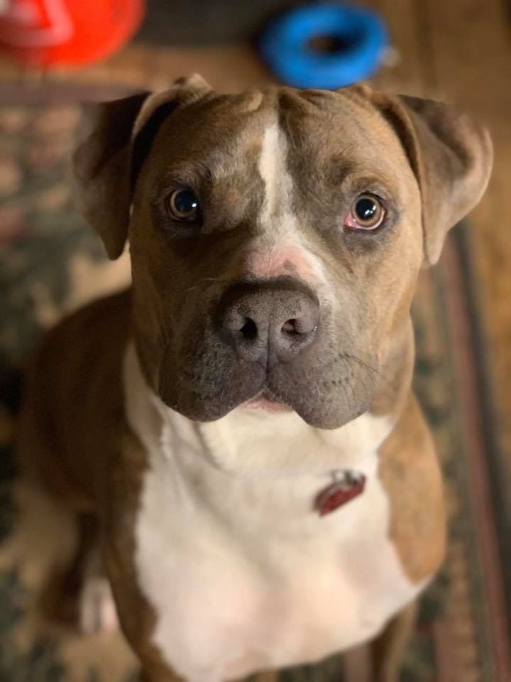Leroy